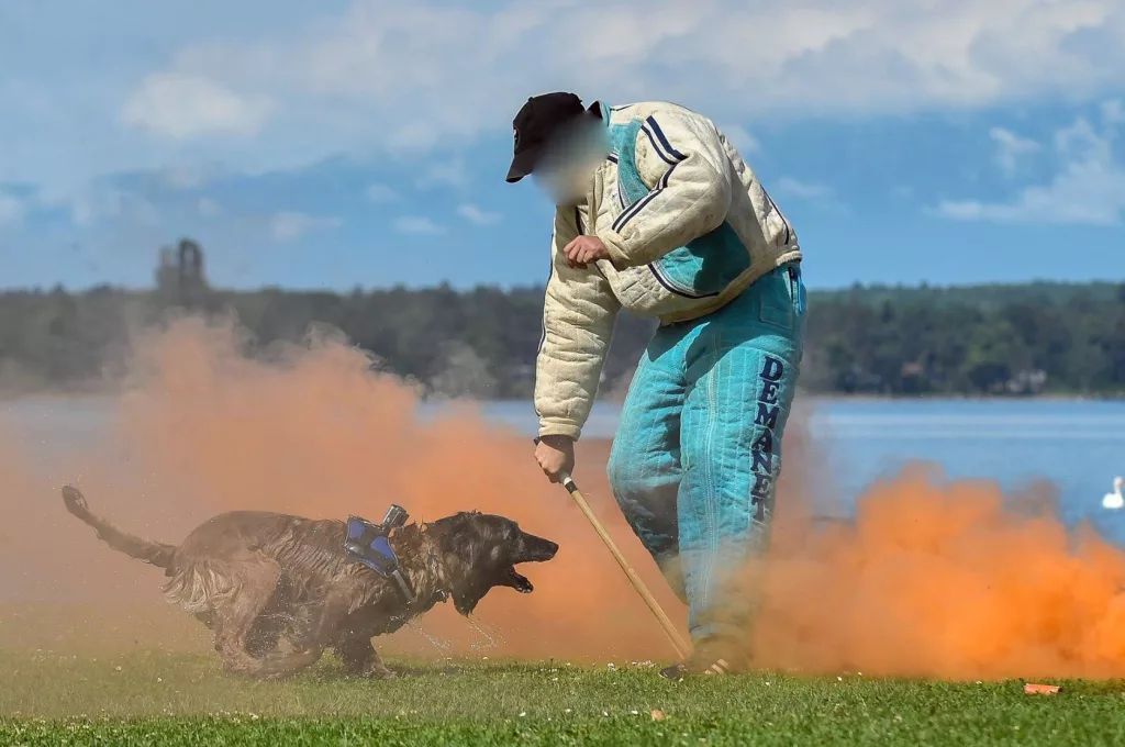K9EVENTS - Préparation au stage "Homme d’attaque"