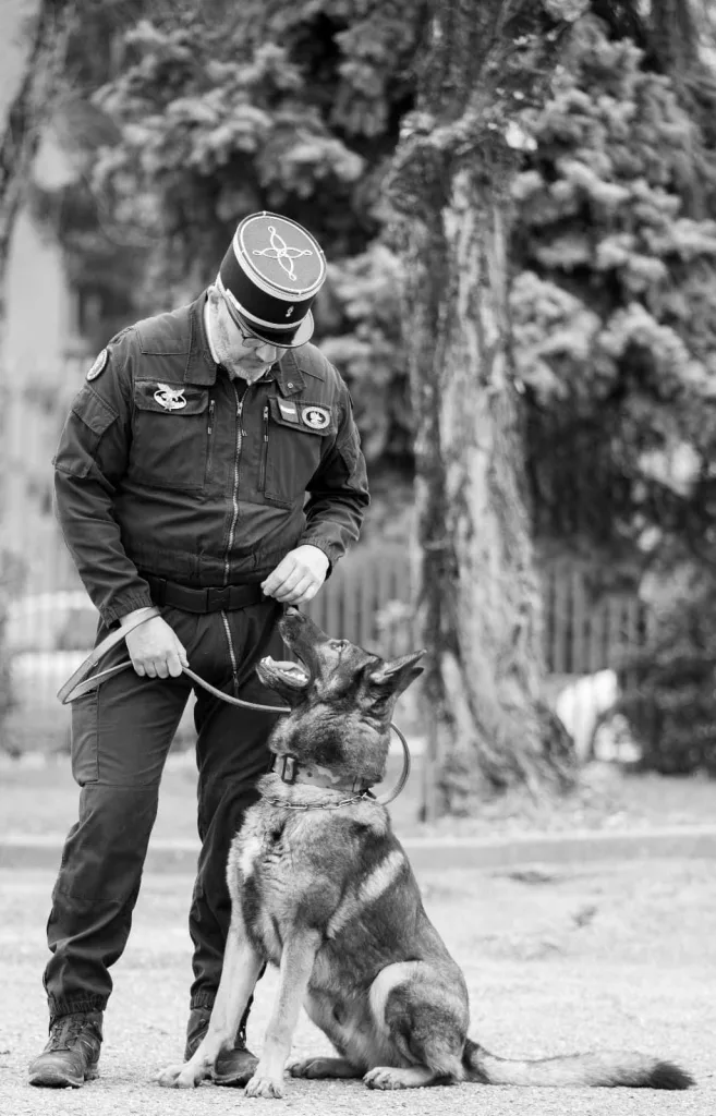 K9EVENTS - Préparation aux tests d'entrée pour la technicité de Maître de Chien